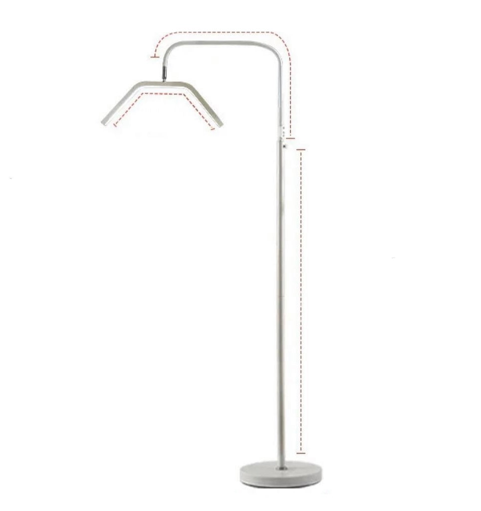 Beaute Lamp